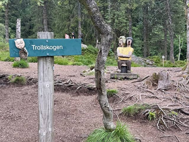 Trollskogen - Image 1