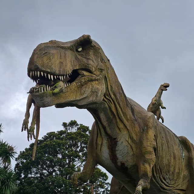 Thunder World - Image 1