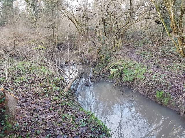 Kingston Pool Covert - Image 2
