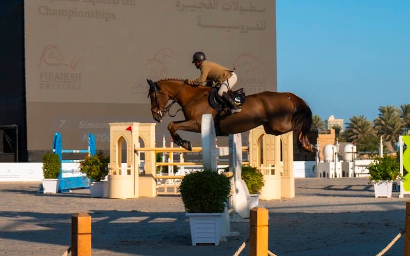 Fujairah Fort Gate - Image 3