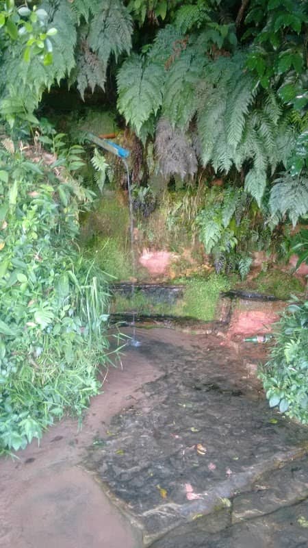 Bica do Vitalino - Image 1