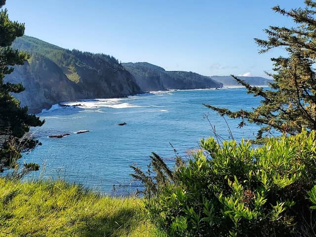 Cape Arago State Park - Image 1