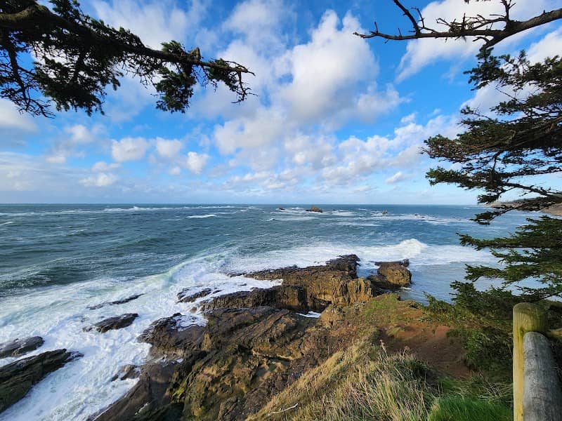 Cape Arago State Park - Image 2