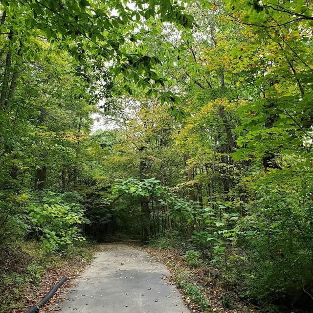 Fox Glen Park - Image 2