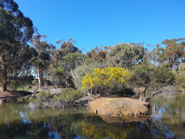 Serendip Sanctuary (Parks Victoria) - Image 2