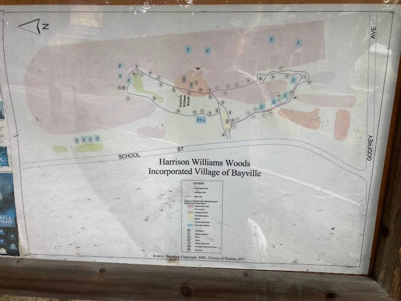 Harrison Williams Woods - Image 4
