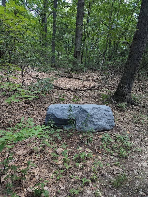 Harrison Williams Woods - Image 3