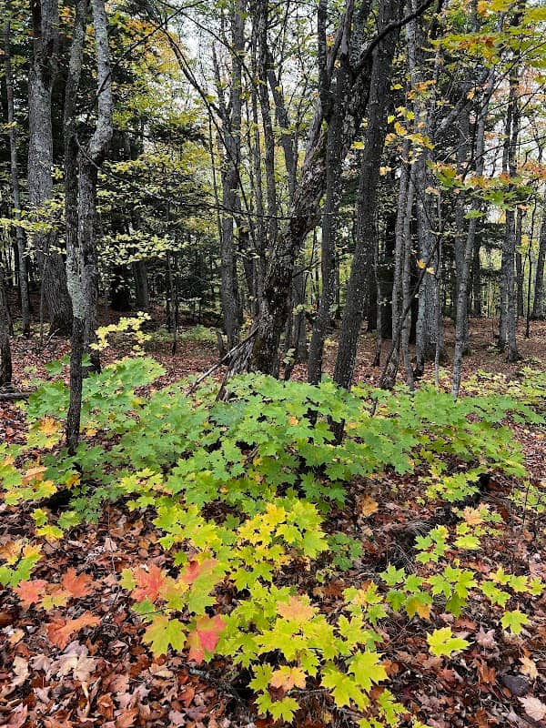 Lake of the Clouds Trailhead - Image 3