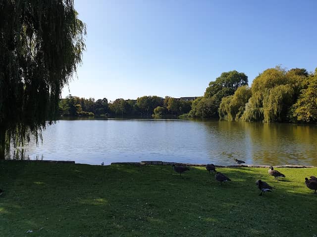 Schrevenpark - Image 1