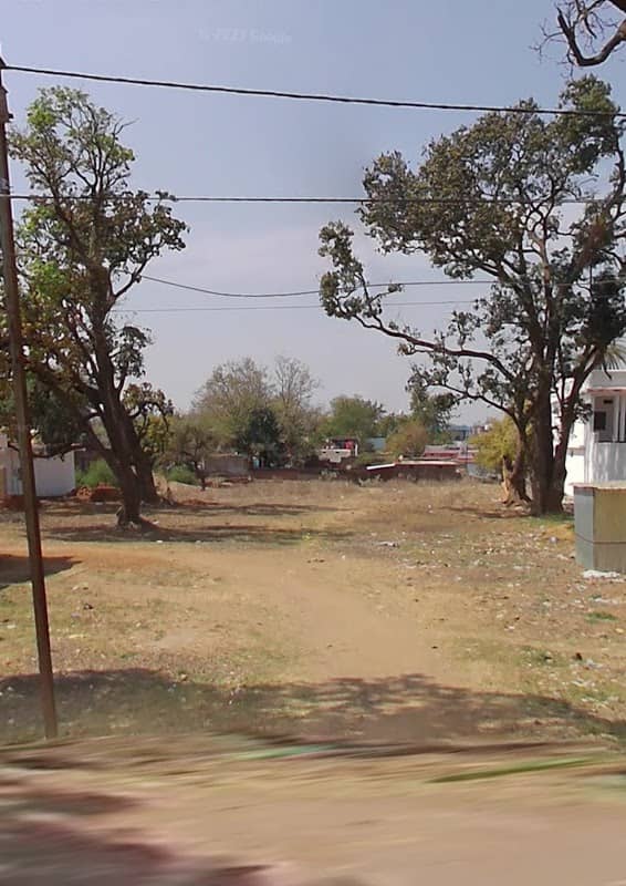 Umaria - Image 1
