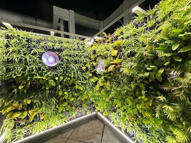 Sky Garden-smoking - Image 2