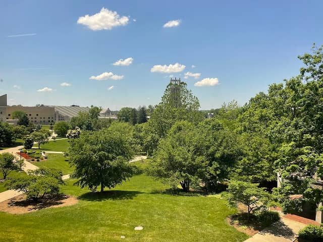 Cox Arboretum - Image 2