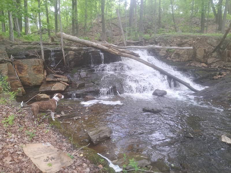 Stony Brook Falls - Image 1