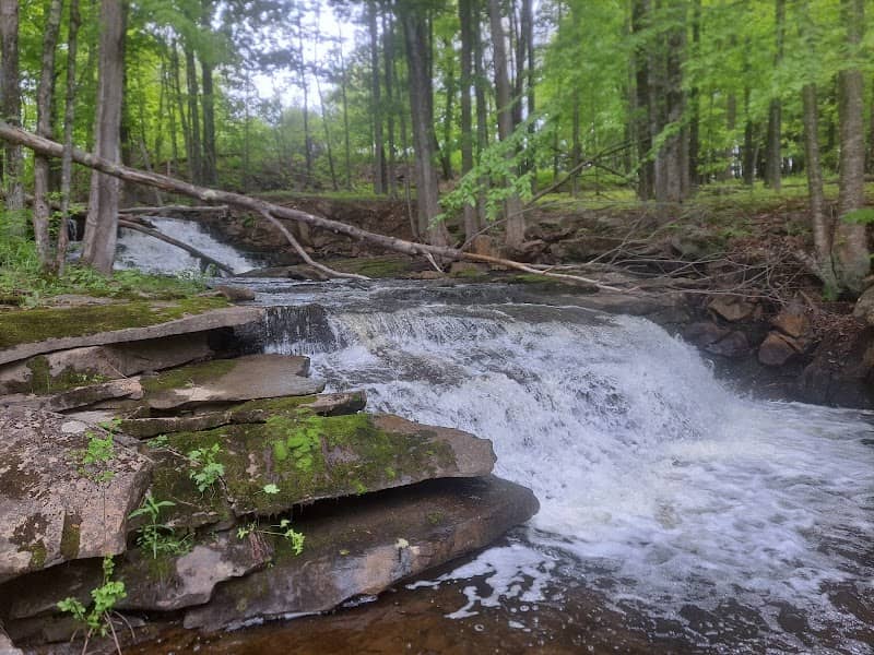Stony Brook Falls - Image 2