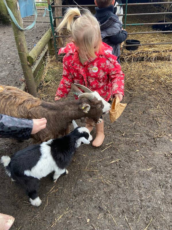 Daisy May's Farm - Image 2