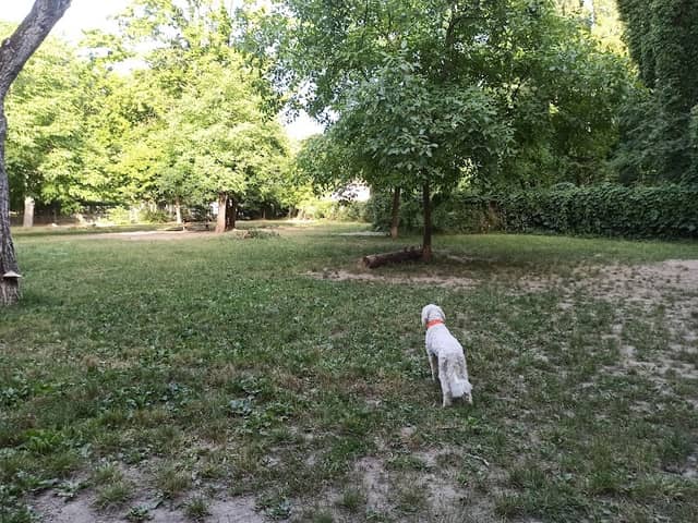 Hundeauslaufplatz - Image 1