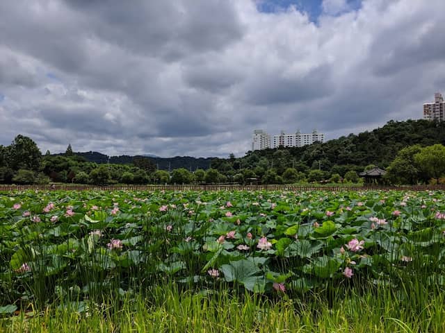 양산제 - Image 1