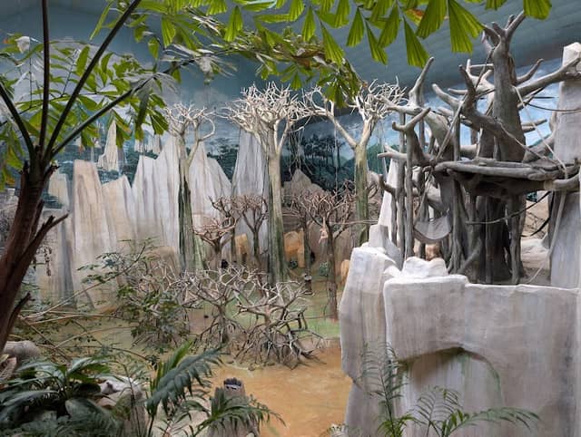 Tropic World - Image 2