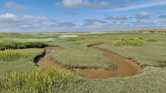 Excursie Kwade Hoek - Image 2