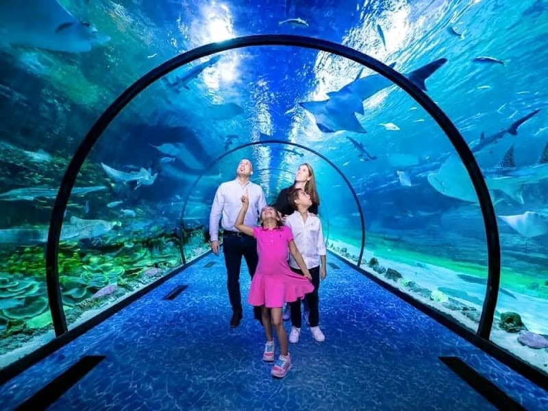 The National Aquarium Abu Dhabi - Image 1