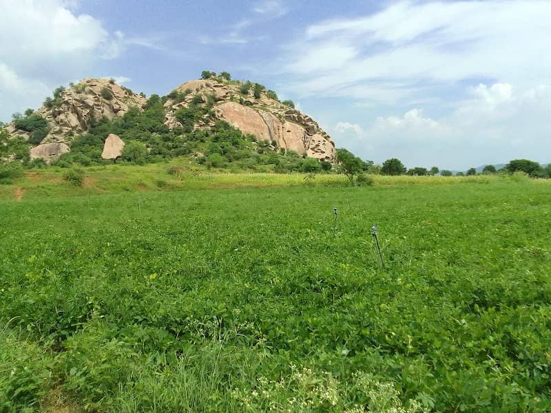Atta Kaka Kuvo - Image 2