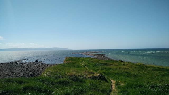 Seaweed Point - Image 1