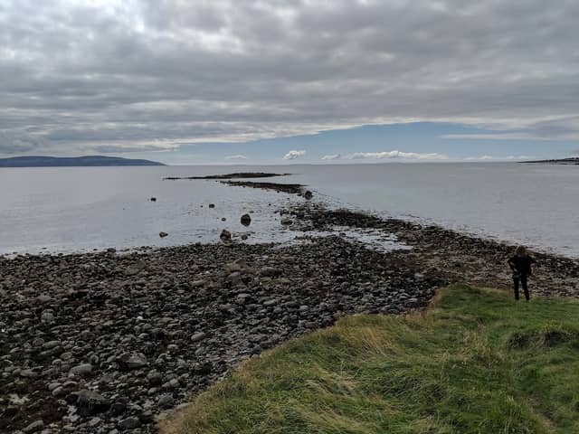 Seaweed Point - Image 2