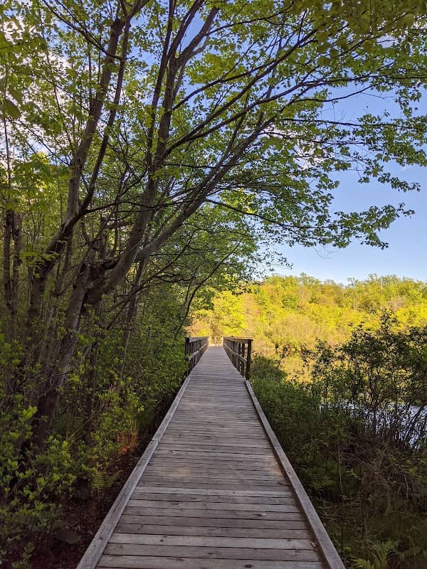 Shu Swamp Nature Preserve - Image 1