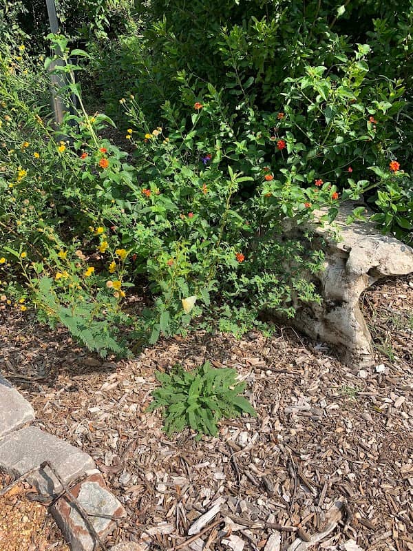Flycatcher Trail Outdoor Classroom & Demonstration Garden - Image 1