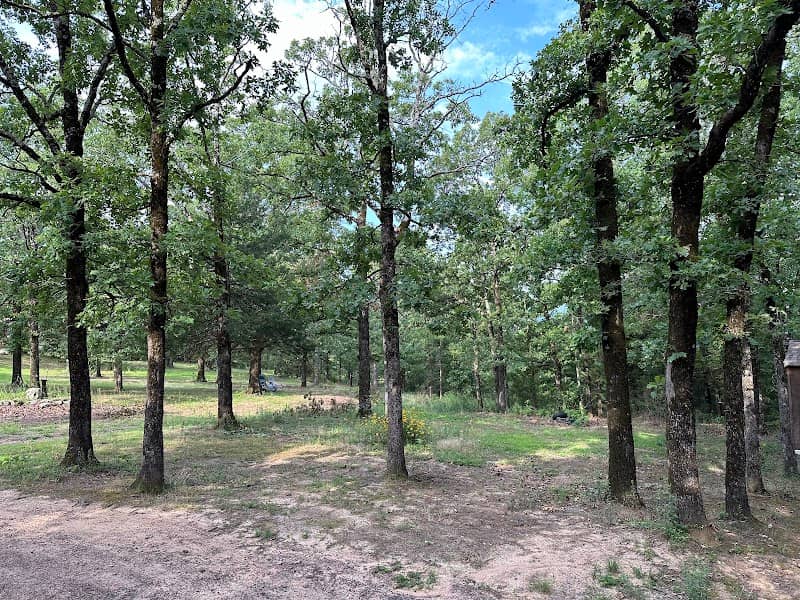 Wildwoodz - Image 1