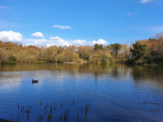 Lightwater Country Park - Image 2