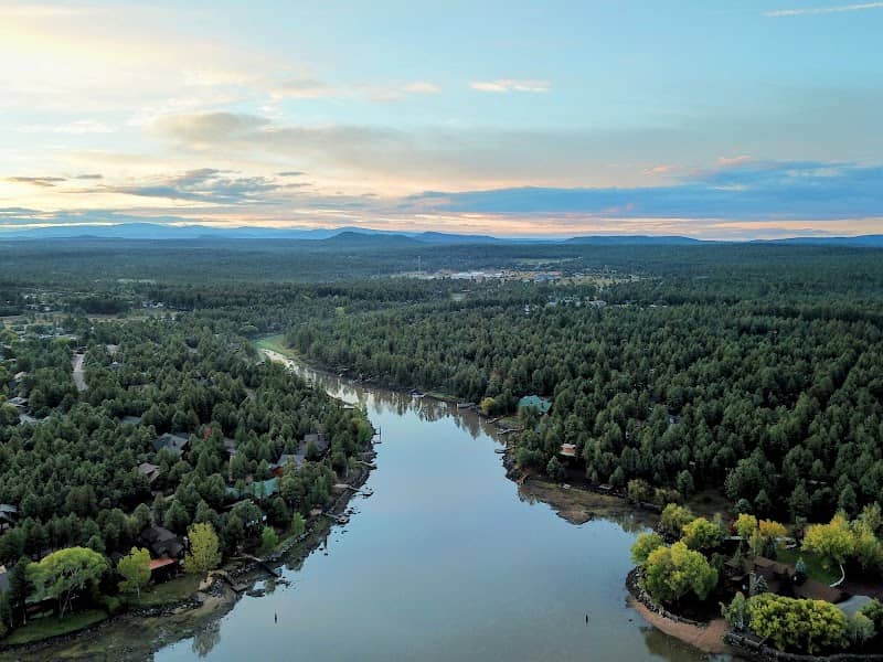 Pinetop - Image 2