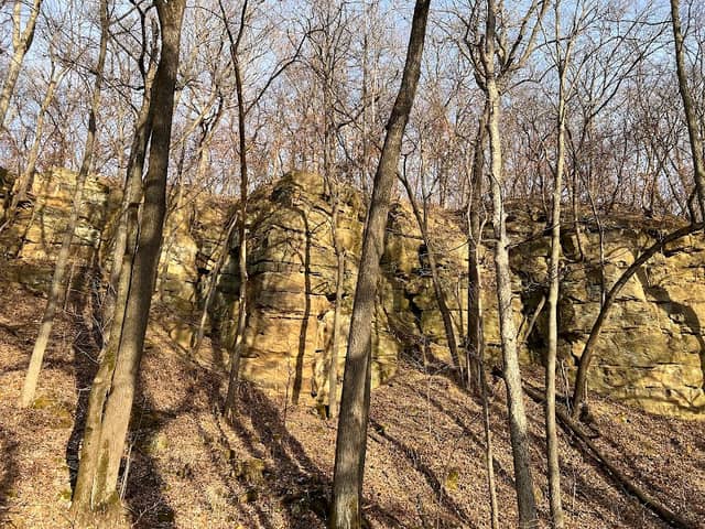 Wildcat Trail - Image 1