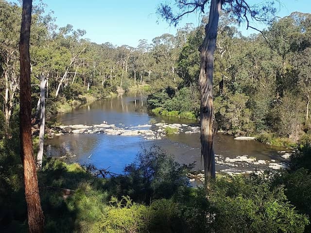 Wild Cherry Drive Reserve - Image 1