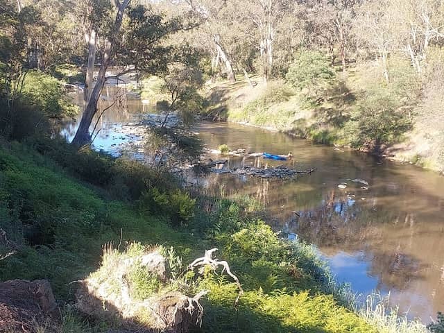 Wild Cherry Drive Reserve - Image 2
