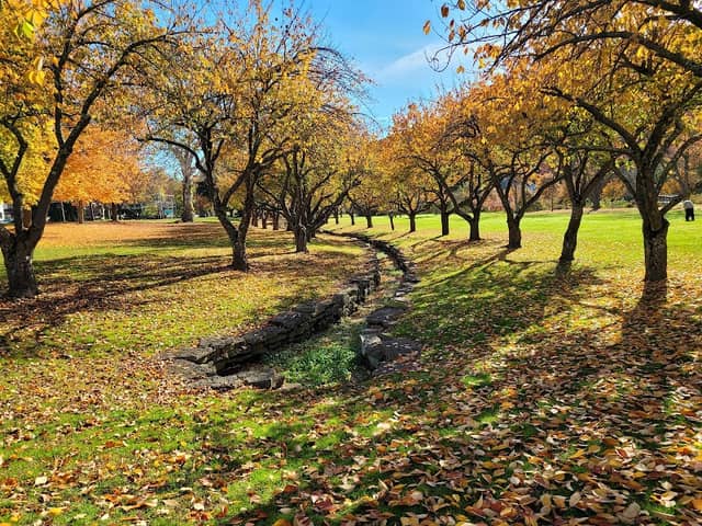 Hurd Park - Image 1