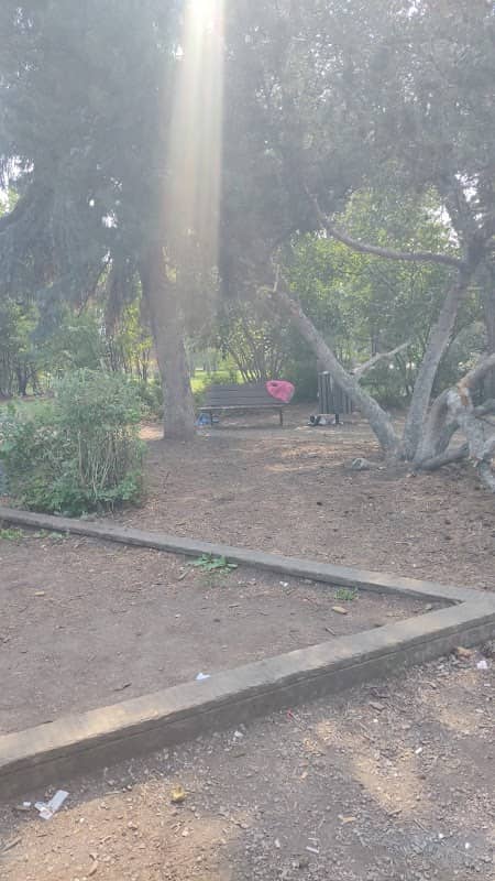 Park on 100 - Image 1