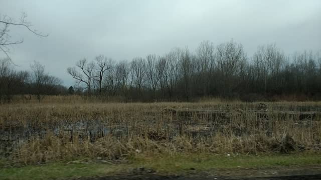 Fox Hollow - Image 1