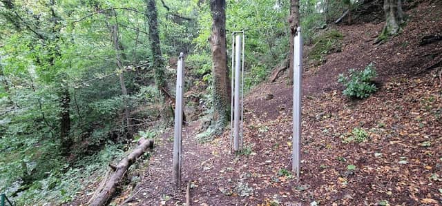 Tubular Bells - Image 1