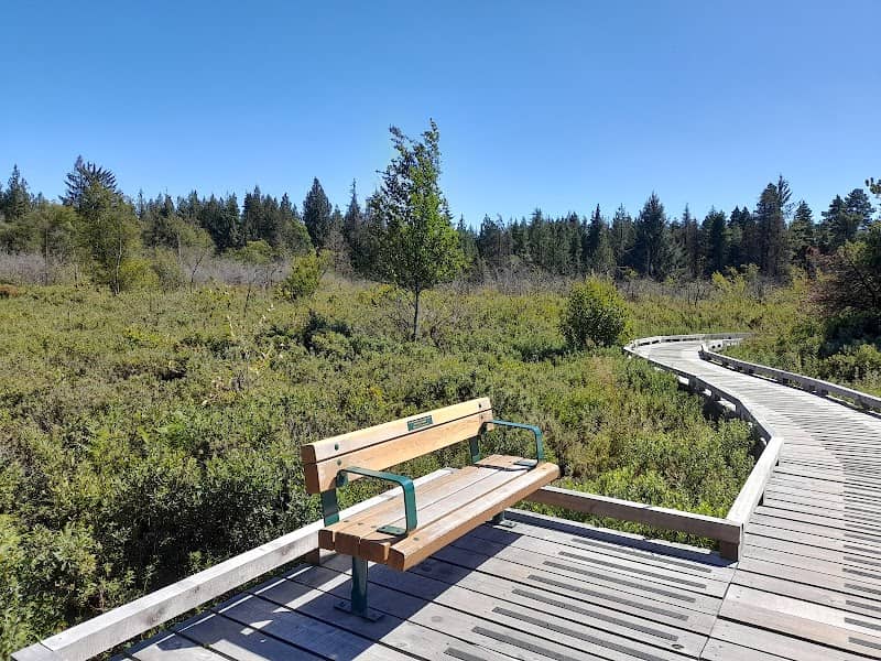 Delta Nature Reserve at Burns Bog - Image 2