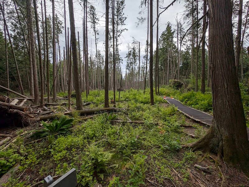 Delta Nature Reserve at Burns Bog - Image 3