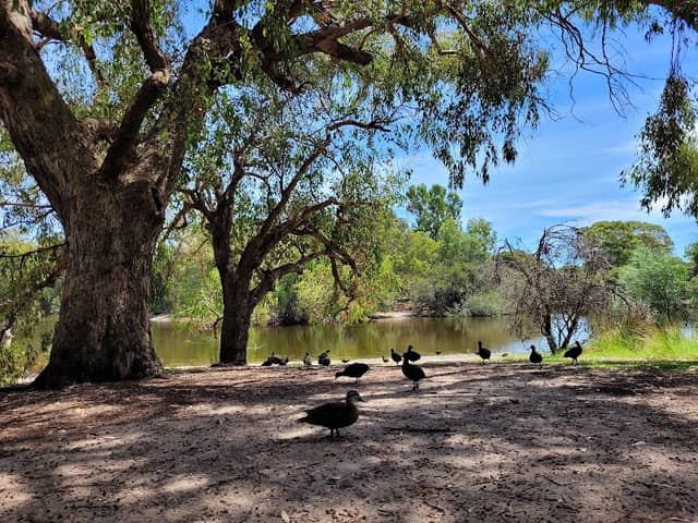 Neil McDougall Park - Image 2