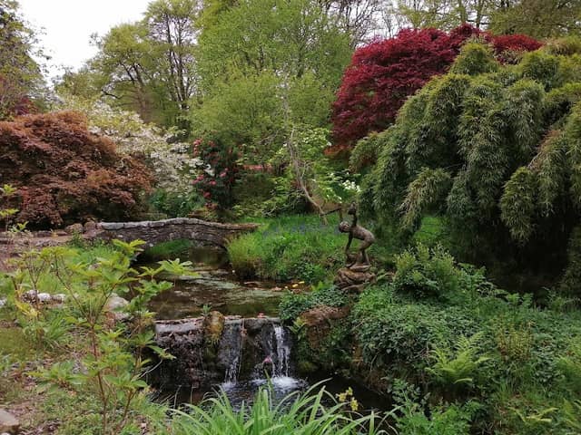 Lukesland Gardens and Tea Room - Image 2