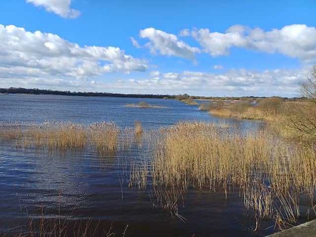 Noah's Lake - Image 1