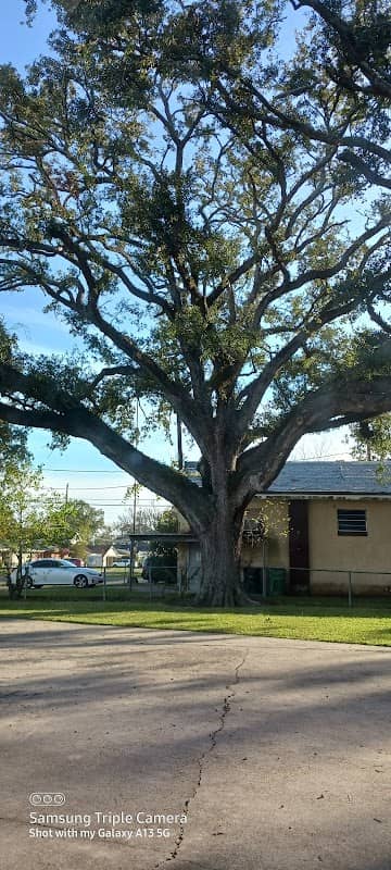 Royland Playground - Image 1