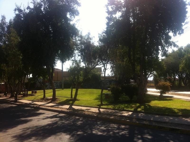 Plaza La Teletubbie - Image 1