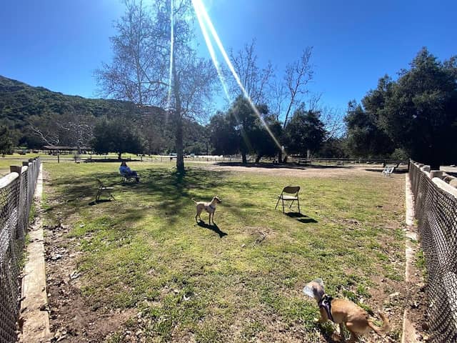 Mitchell Edelson Dog Park - Image 1
