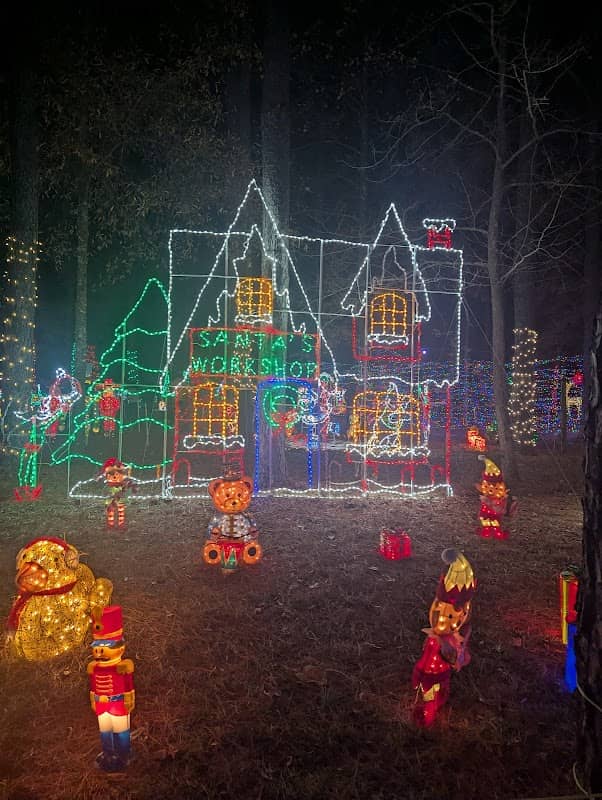 Lights 4 Paws - Image 1