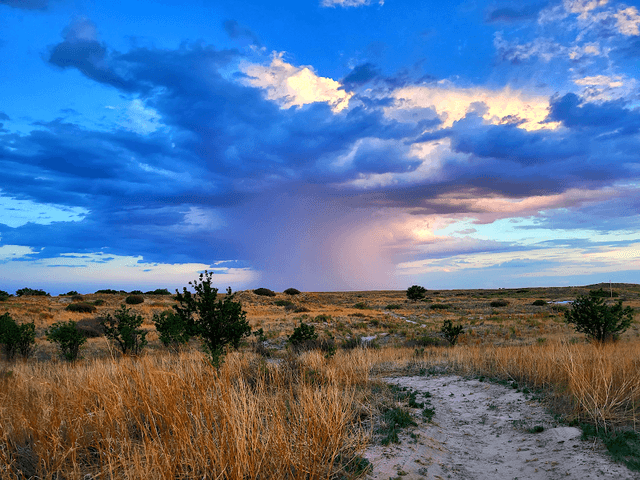 Oasis State Park - Image 2