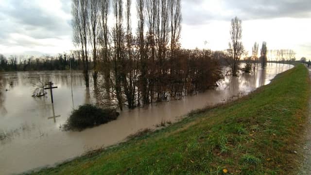 Parco fluviale - Image 1